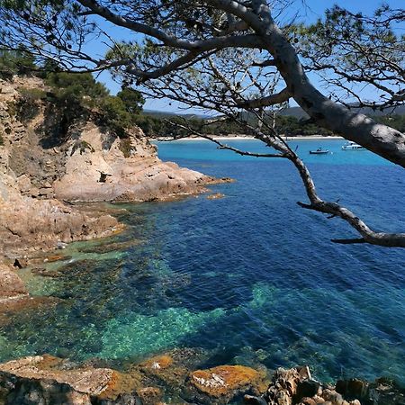 Studio A Hyeres Port - Proche De Toutes Commodites ภายนอก รูปภาพ
