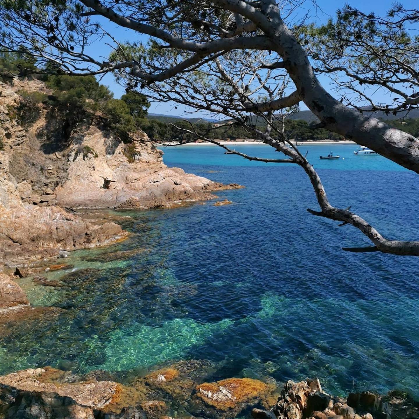 Studio A Hyeres Port - Proche De Toutes Commodites ภายนอก รูปภาพ